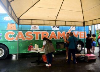 Salvador Vai Ampliar Atendimento Com Terceiro Castramóvel; Saiba Mais