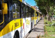 Obras Na Ribeira Alteram Linha De ônibus A Partir De Segunda-feira (13)
