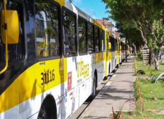 Obras Na Ribeira Alteram Linha De ônibus A Partir De Segunda-feira (13)
