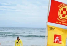 MP-BA Investiga Supostas “escalas Fantasmas” E Irregularidades Na Salvamar De Salvador