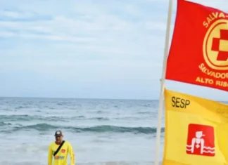 MP-BA Investiga Supostas “escalas Fantasmas” E Irregularidades Na Salvamar De Salvador