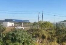 Tiroteio Durante Ação Da PF Causa Tensão Nas Proximidades Do Aeroporto De Guarulhos