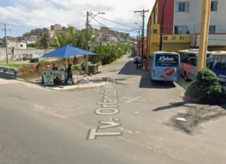 Cachorro Comunitário é Encontrado Morto Com Sinais De Violência Em Salvador