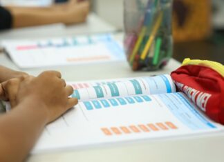 Educação política passa a integrar currículo escolar brasileiro