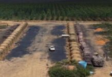 Ação Do MP Identifica Mais De 200 Hectares De Desmatamento Ilegal Na Bahia