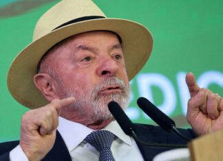 Lula quer mostrar a Trump números de queda do desmatamento na Amazônia