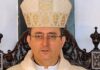 Cardeal Sergio Da Rocha Celebra 25 Anos De Episcopado Nesta Terça-feira Em Salvador