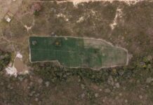 PF Deflagra Operação Contra Cultivo Ilegal De Maconha E Bloqueia R$ 50 Milhões De Investigados