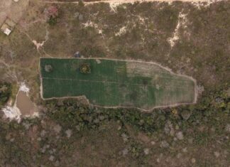 PF Deflagra Operação Contra Cultivo Ilegal De Maconha E Bloqueia R$ 50 Milhões De Investigados