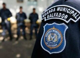 Salvador Autoriza Novo Concurso Para A Guarda Civil Municipal Com 50 Vagas