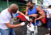 Salvador Tem Postos Volantes De Vacinação Antirrábica Neste Fim De Semana