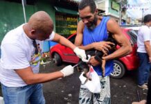 Salvador Tem Postos Volantes De Vacinação Antirrábica Neste Fim De Semana