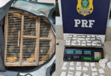 PRF Resgata 17 Aves Silvestres E Apreende 146g De Cocaína Em ônibus Na Bahia
