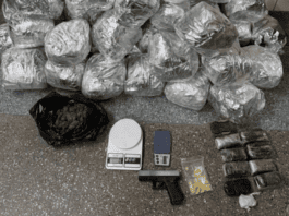Ação Da Rondesp RMS Localiza Drogas E Simulacro De Arma Na Região Metropolitana