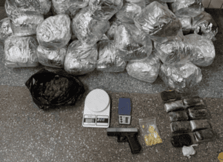 Ação Da Rondesp RMS Localiza Drogas E Simulacro De Arma Na Região Metropolitana