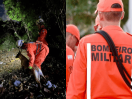 Homem é Encontrado Dormindo Sob Arbusto Após Se Perder Em Dunas De Stella Maris