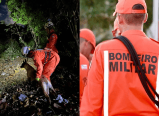 Homem é Encontrado Dormindo Sob Arbusto Após Se Perder Em Dunas De Stella Maris