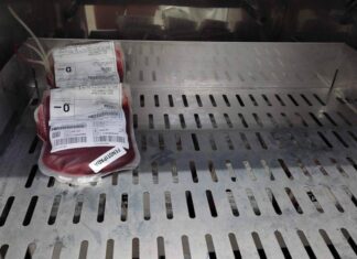Nova Lei Cria Campanha Para Reforçar Estoques De Sangue No País; Veja Como Será