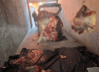 Suspeitos Por Furtos De Gado São Presos No Extremo Sul Da Bahia