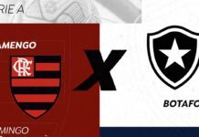 Neste domingo, Rádio Nacional transmite clássico Flamengo x Botafogo Neste domingo, Rádio Nacional transmite clássico Flamengo x Botafogo