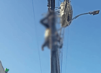 Corpo De Homem Morto Após Descarga Elétrica é Retirado De Poste, Em Salvador