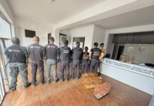 “Pássaros Fantasmas”: PF Investiga Fraude Com Nascimentos Fictícios E Venda De Anilhas Na Bahia