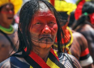 Busca pela demarcação de territórios marca luta indígena no Brasil