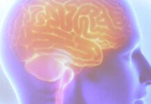 Diagnóstico precoce garante qualidade de vida na esclerose múltipla