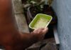 Foco De Dengue? Veja Quais Regiões De Salvador Concentram Mais Focos Do Aedes Aegypti