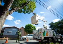 Seis Bairros De Salvador Terão Desligamento De Energia Nesta Sexta-feira (28); Veja Locais