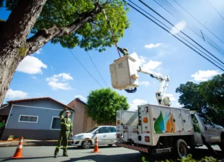 Três Bairros De Salvador Têm Desligamento Programado De Energia Nesta Quinta-feira (17)