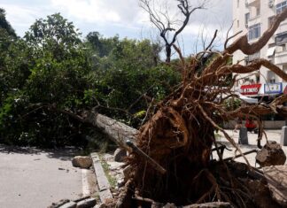 Defesa Civil alerta para ventos fortes no Rio de Janeiro