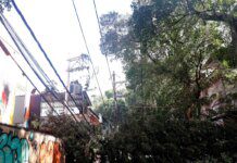 Procon RJ orienta consumidores sobre direitos após falta de luz