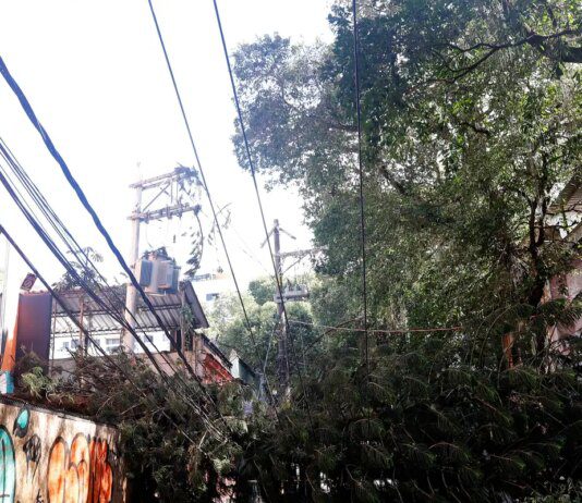 Procon RJ orienta consumidores sobre direitos após falta de luz
