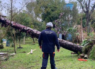 Região Sul deve sofrer menos efeitos de ciclone bomba a partir de hoje