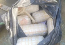 Operação Apreende Explosivos Que Seriam Usados Para Pesca Ilegal Na Baía
