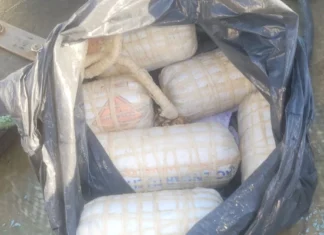 Operação Apreende Explosivos Que Seriam Usados Para Pesca Ilegal Na Baía