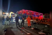 Acidente Entre ônibus E Caminhão Deixa Seis Mortos E 31 Feridos Na BR-251