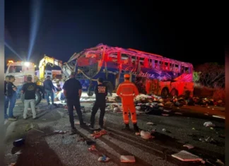 Acidente Entre ônibus E Caminhão Deixa Seis Mortos E 31 Feridos Na BR-251