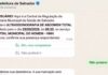 SMS De Salvador Passa A Enviar Lembretes De Consultas Pelo WhatsApp; Veja Como Funciona