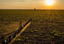 Seguro rural: novas regras ampliam cobertura e proteção ao produtor