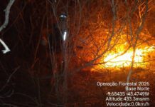 Incêndio Avança No Norte Da Bahia E Mobiliza Bombeiros E Duas Aeronaves