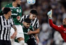 Botafogo segura Palmeiras e ajuda Flamengo, novo líder do Brasileirão Botafogo segura Palmeiras e ajuda Flamengo, novo líder do Brasileirão