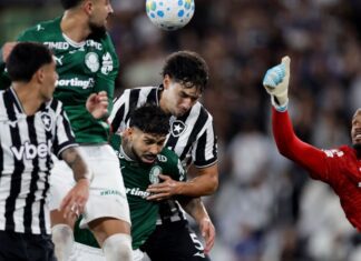Botafogo segura Palmeiras e ajuda Flamengo, novo líder do Brasileirão Botafogo segura Palmeiras e ajuda Flamengo, novo líder do Brasileirão