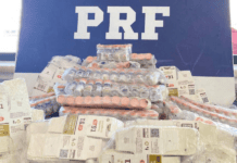 PRF Encontra 503 Ampolas De Tirzepatida Escondidas Em Carro Na Bahia; Passageiro Diz Que Comprou No Paraguai