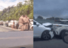 VÍDEO: Cinco Veículos Se Envolvem Em Acidente Na Avenida Paralela Em Salvador
