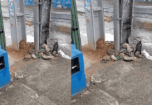 Poste Antigo Permanece Após Instalação De Nova Estrutura Em Salvador