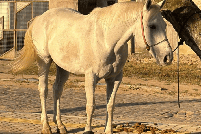 FOTO-DESTAQUE-SITE-TAKTA-NO-AR-59.png