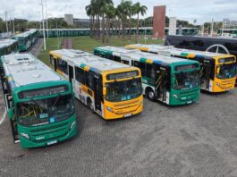 Salvador Terá Mudanças Na Frota E Na Fiscalização Do Transporte Público