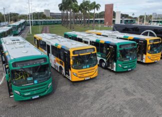 Salvador Terá Mudanças Na Frota E Na Fiscalização Do Transporte Público
